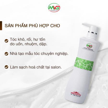 Dầu cặp Cazoova 500ml & 780ml