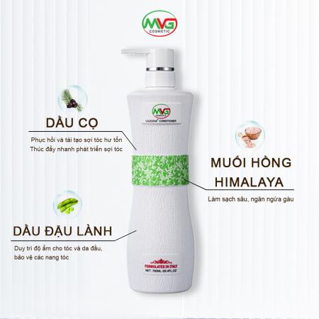 Dầu cặp Cazoova 500ml & 780ml