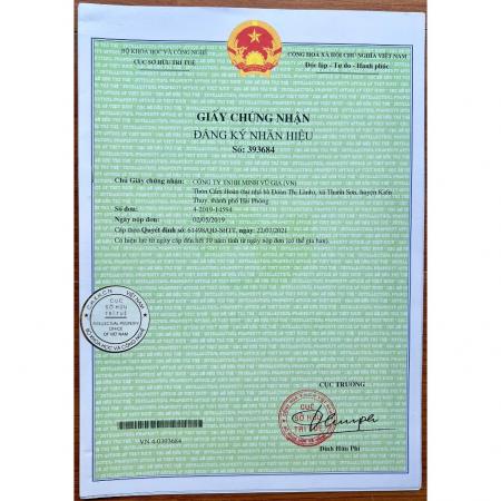 Kem nhuộm tóc Cazoova Cream Color 100ml