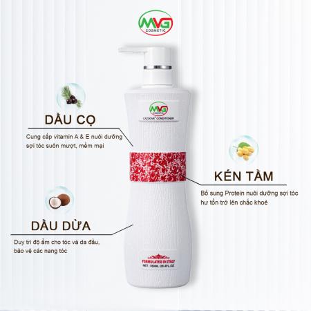 Dầu cặp Cazoova 500ml & 780ml