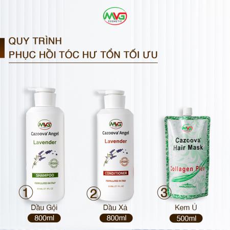 Dầu cặp Cazoova Lavender 800ml